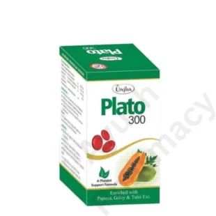 Plato 300